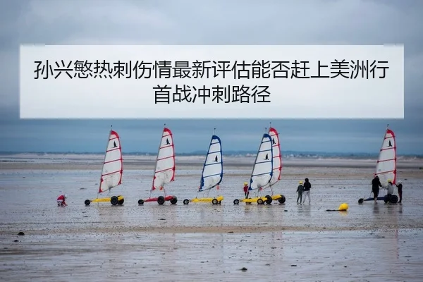 sun-xing-min-re-ci-shang-qing-zui-xin-ping-gu-neng-fou-gan-shang-mei-zhou-xing-shou-zhan-chong-ci-lu-jing-2-943.jpg
